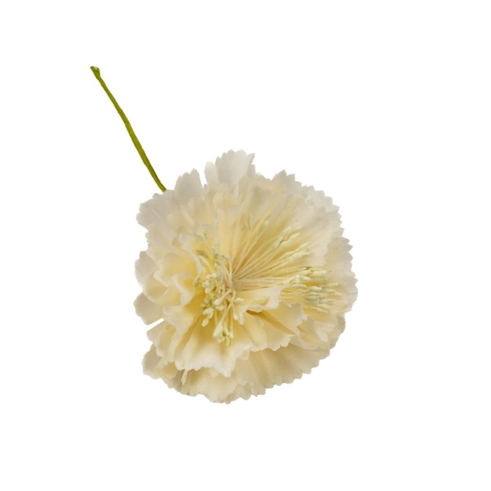 FIORE GAROFANO T.6cm PANNA